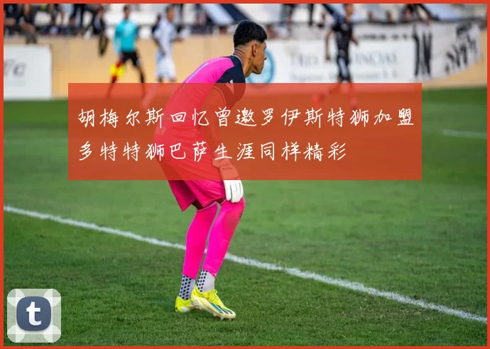 胡梅尔斯回忆曾邀罗伊斯特狮加盟多特特狮巴萨生涯同样精彩